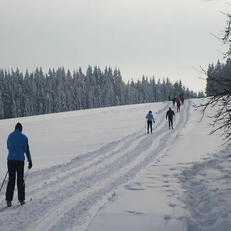 In Nahe Skiliften Daire *