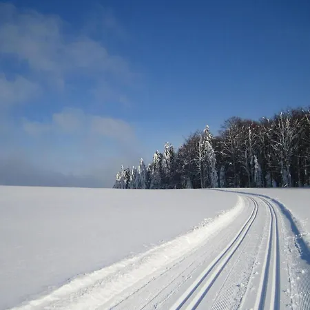 Lejlighed In Nahe Skiliften *