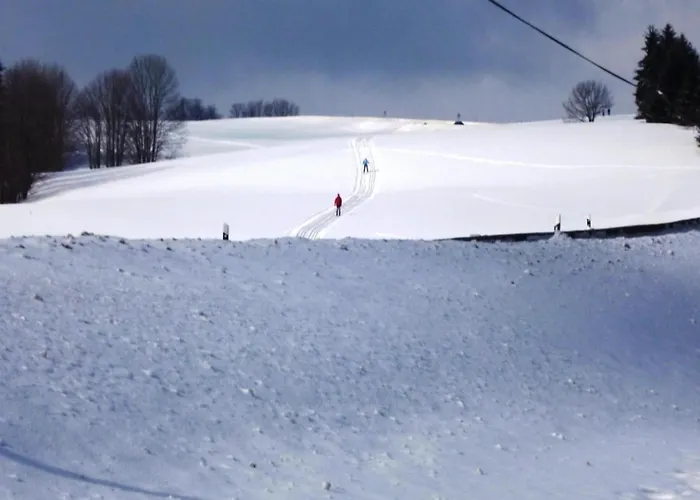 아파트 In Nahe Skiliften *