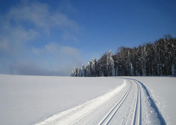 아파트 In Nahe Skiliften *