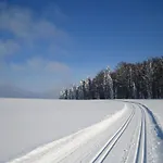 Appartamento In Nahe Skiliften *
