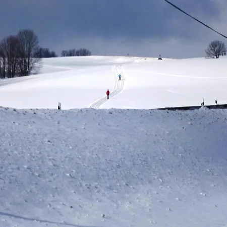아파트 In Nahe Skiliften *
