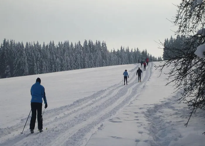 In Nahe Skiliften Apartmán *